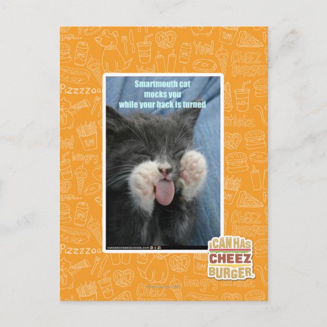 Smartmouth cat postcard (Front)