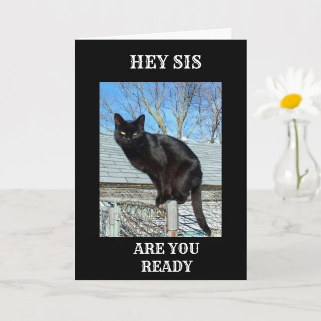 SMARTY PANTS BLACK CAT FOR *SISTER'S BIRTHDAY* CARD (Small Plant)