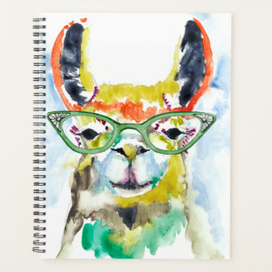 Smarty-Pants Llama Planner