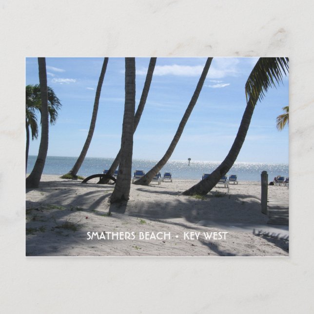 Smathers Beach, Key West, Florida Postcard (Front)
