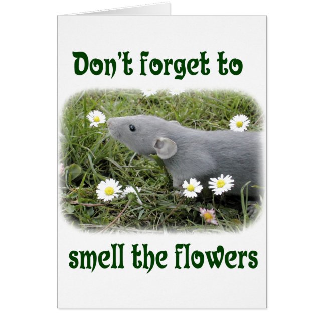 Smell the flowers (Front)