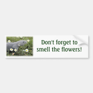 Smell the Flowers Bumper Sticker