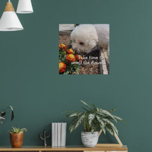 Smell the Flowers  Poster