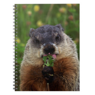 Smelling Spring Groundhog Spiral Notebook