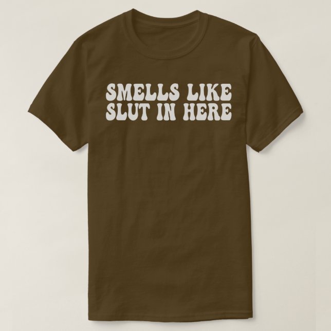 smells like in here Offensive Funny Adult Humour 1 T-Shirt (Design Front)