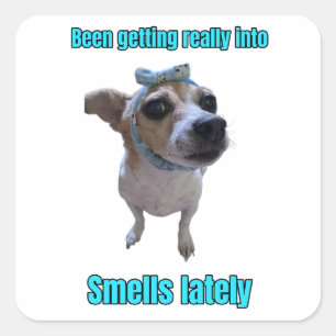 Smells sticker
