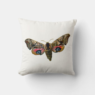 Smerinthus ocellata - Eyed Hawk-Moth - Colour Imag Cushion