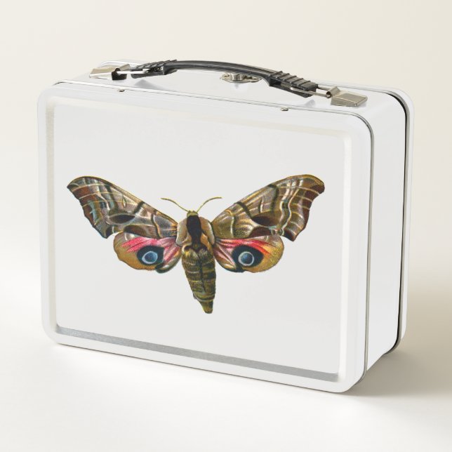 Smerinthus ocellata - Eyed Hawk-Moth - Colour Imag Metal Lunch Box (Back)