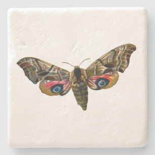 Smerinthus ocellata - Eyed Hawk-Moth - Colour Imag Stone Coaster