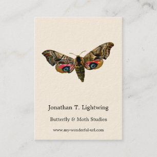 Smerinthus ocellata - Eyed Hawk-Moth Colour Image  Business Card