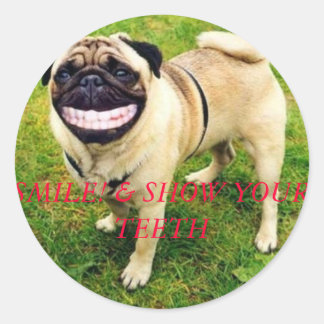 smile and show your teeth funny sticker with dog