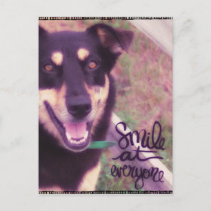Smile at Everyone Dog Postcard