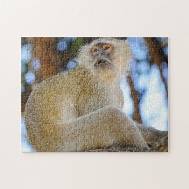 Smile. Botswana Velvet Monkey. Jigsaw Puzzle (Horizontal)