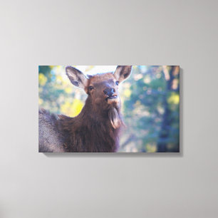 Smile Canvas Print