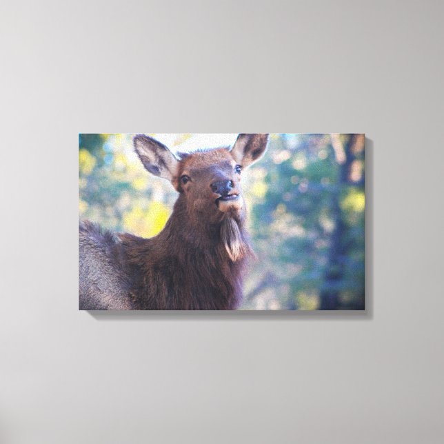 Smile Canvas Print (Front)