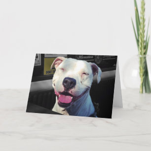 Smile Card
