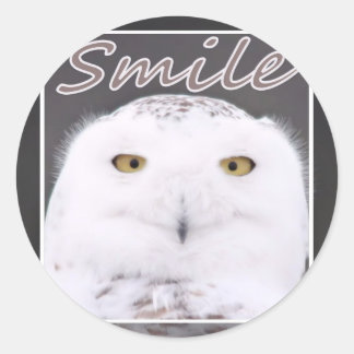 Smile Classic Round Sticker