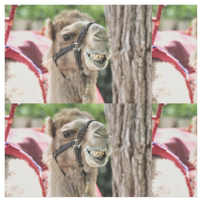 Smile Fabric (Close Up)