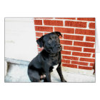 Smile For Us Midnight!