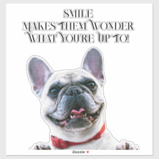  Smile French Bulldog