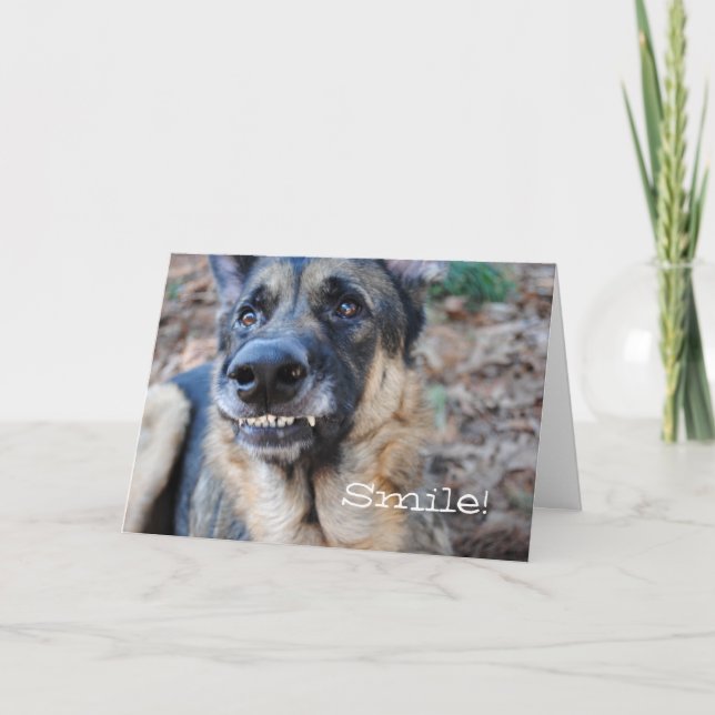 Smile! German Shepherd Its Your Birthday Card (Front)