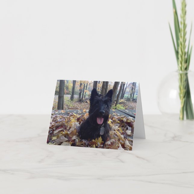 Smile it's Fall Card (Front)