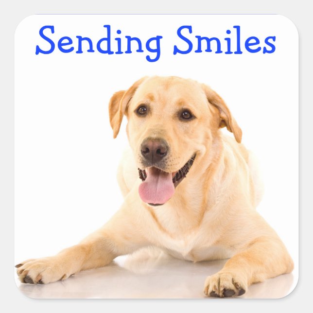 Smile Labrador Retriever Dog Sticker Labels (Front)