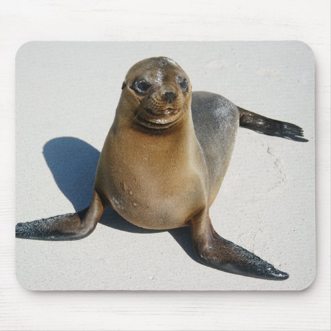 Smile Mouse Pad (Front)