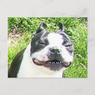 Smile Postcard