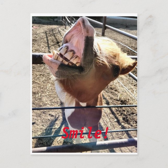 Smile!! Postcard (Front)