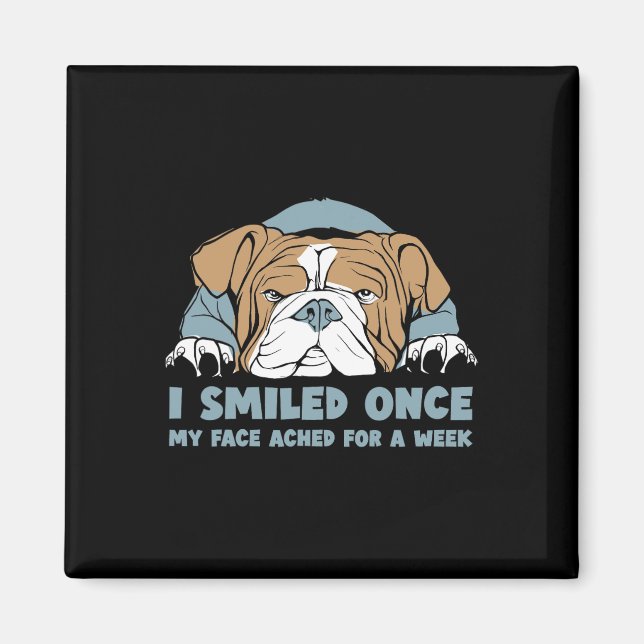 Smiled Once My Face Ached For A Week - English Bul Magnet (Front)