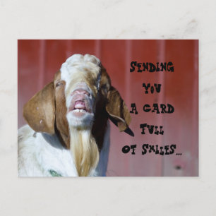 Smiles... Postcard