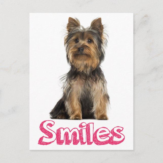 Smiles Yorkshire Terrier Puppy Dog Blank Post Card (Front)