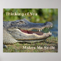 Smiling Alligator Grinning Gator