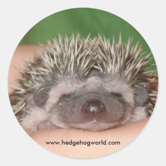 Smiling baby sticker