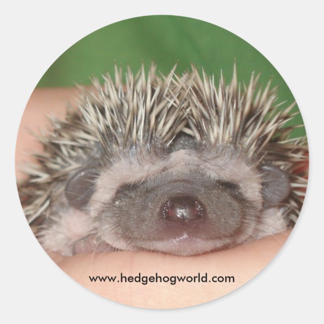 Smiling baby sticker (Front)