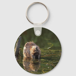 Smiling Beaver Key Ring