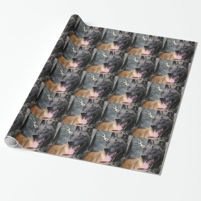 Smiling Belgian Malinois Dog Wrapping Paper (Unrolled)