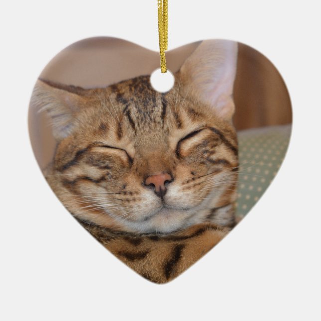 Smiling Bengal Ceramic Tree Decoration (Front)