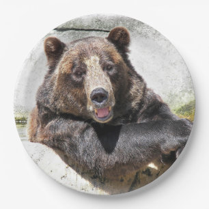 smiling birthday bear paper plate