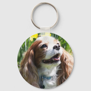 Smiling Blenheim Cavalier King Charles Spaniel Key Ring