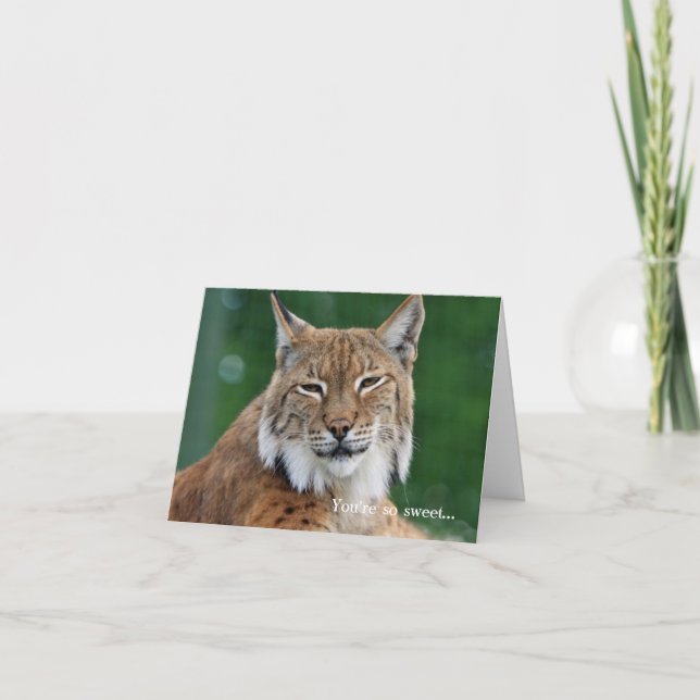 Smiling Bobcat Custom Thank You Note Card (Front)