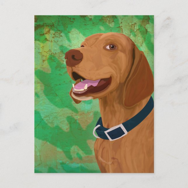Smiling Brown Vizsla on Green Background Postcard (Front)