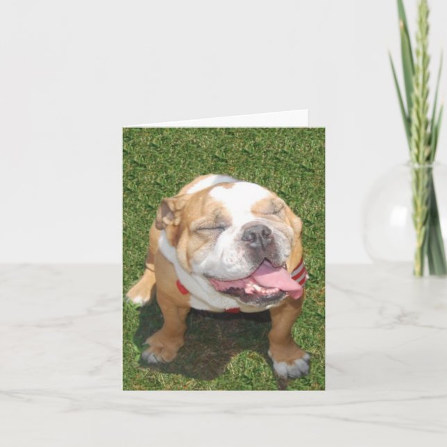 Smiling Bulldog Card (Front)