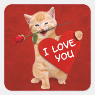 Smiling cat in love square sticker