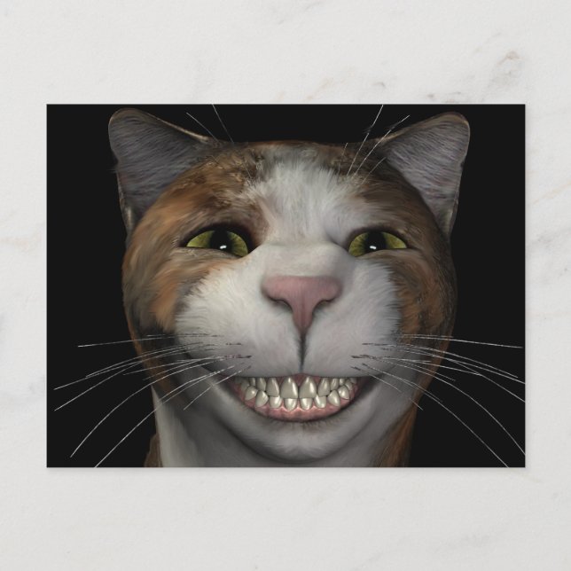 Smiling Cat Postcard (Front)