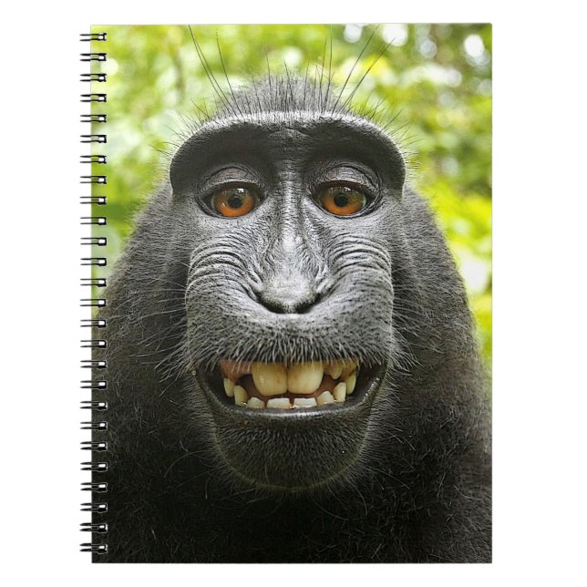 Smiling Crested Celebes Macaque Spiral Notebook (Front)