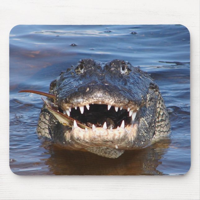 Smiling Crocodile Mouse Pad (Front)