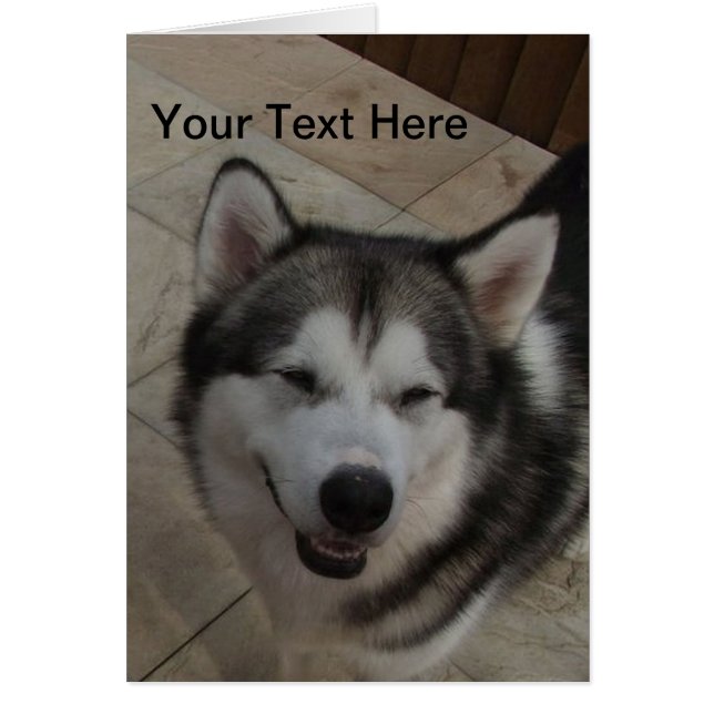 Smiling Dog (Front)
