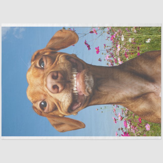 Smiling Dog in Field of Flowers Decoupage Tissue Paper (Front)